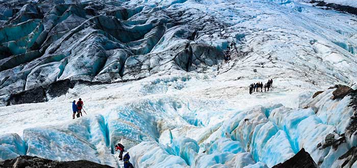 Que ver en Nueva Zelanda, Glaciar Franz Josef