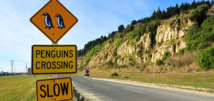 Que ver en Nueva Zelanda, Oamaru