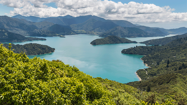 Marlborough Sounds