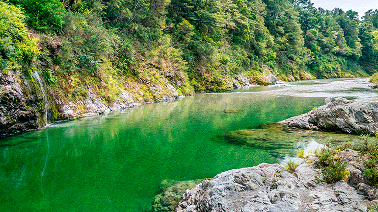 Río Pelorus
