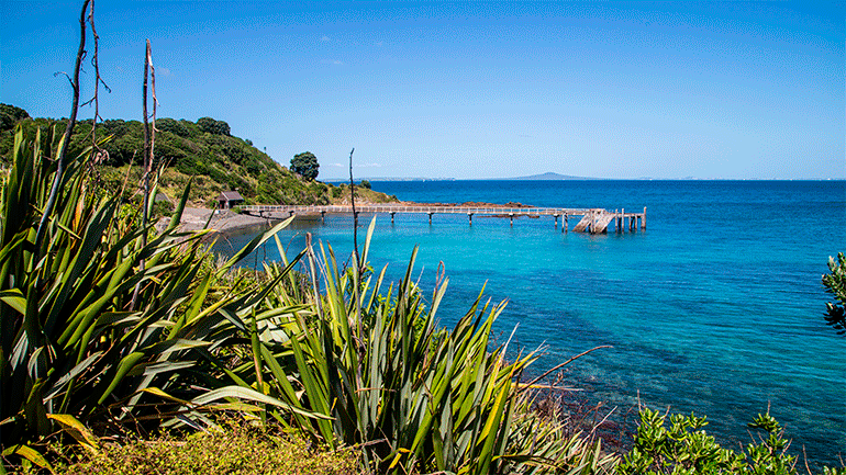 Tiritiri Matangi Island