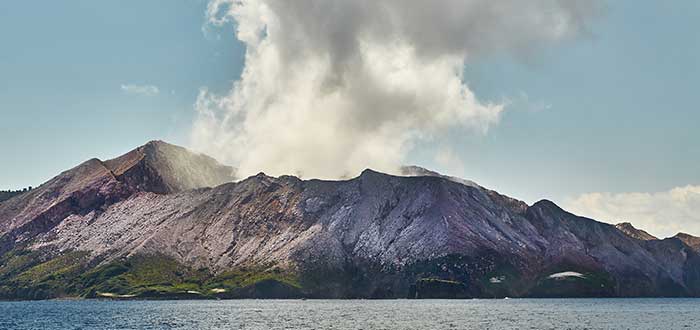 Isla White Bay of plenty